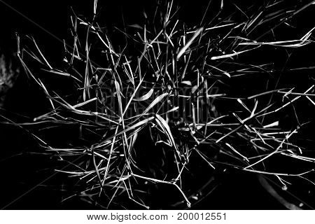 Abstract monochrome dark mystery narrative halloween concept