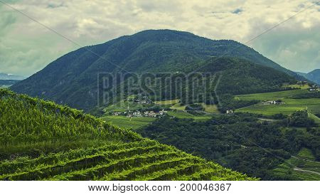 Background landscape view of Grape fields and alpine village in the distance among the mountains in Tyrol, Austria