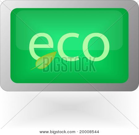 에코 아이콘