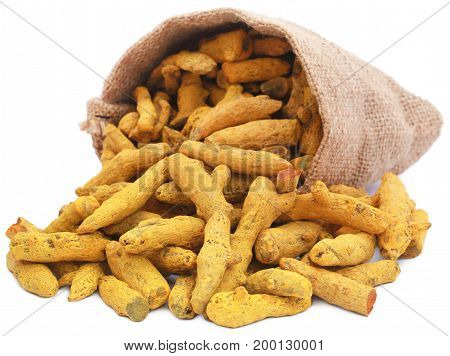 Turmeric in a sack over white background