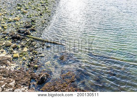 Aerial flat top view down of rocky beach shore in Bar Harbor Maine by Acadia National Park