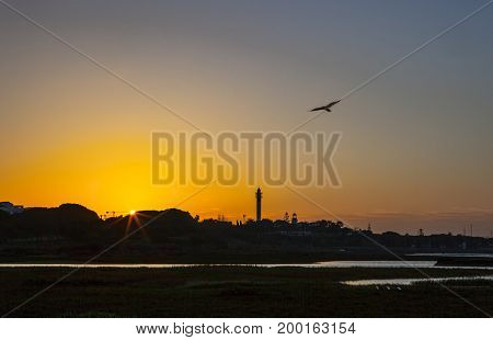 El Rompido lighthouse and marina at sunrise from marshlands Huelva Spain