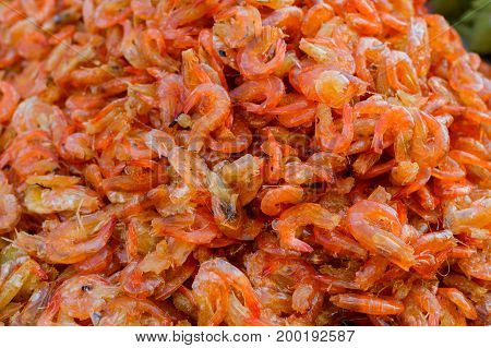 Dried Shrimp Is Shrimp That Has Been Sun-dried. It Is Used As In Various Thai Recipes And Also Exten