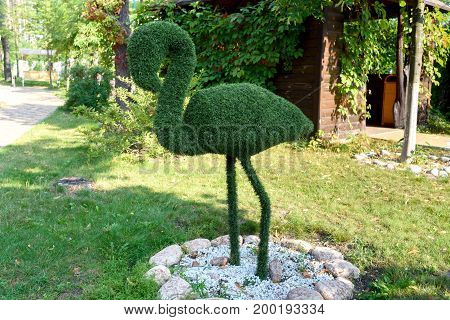 Figure of flamingo made of green lawn grass in the park free space. Green grass covered topiary flamingo landscape design. Grass figure of flamingo topiary figure