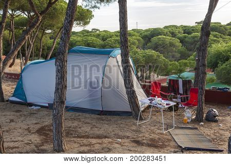 Blue tent on a campground under the pine trees