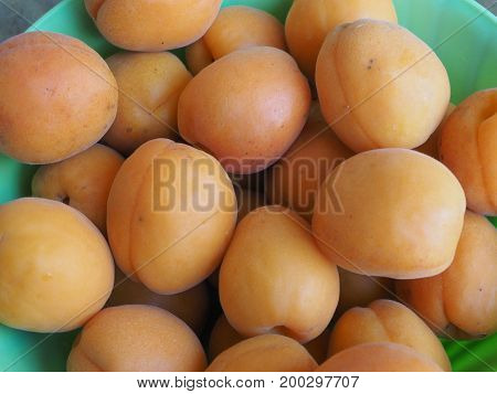 Apricot Fruit Food