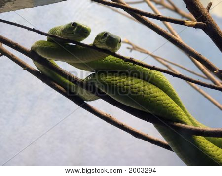 Hanging Out