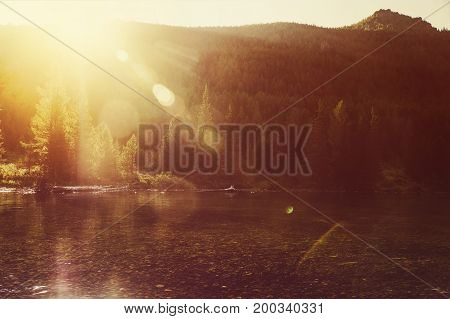 Foggy Morning And Spider Web