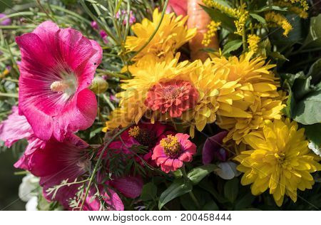 handmade beautiful bouquets from flowers and herbs