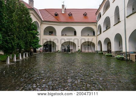 MUKACHEVO, UKRAINE - AUGUST 20б 2017: Buildings Palanok Castle in the rainy summer.
Standing on the town hill, the medieval Palanok Castle with its peaked turrets is the key sight of the ancient Mukachevo.