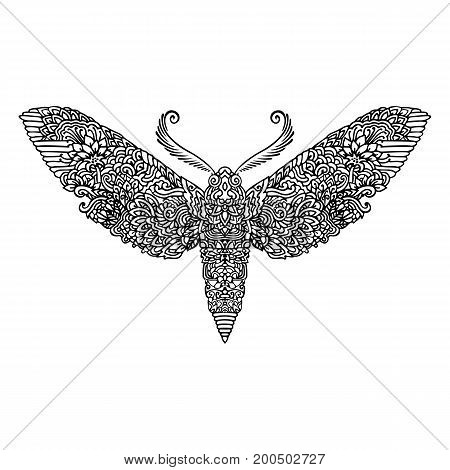 Night butterfly adult coloring book. Vector illustration. Anti-stress coloring. Zentangle style. Black and white sketch. Vector illustration. Asian pattern
