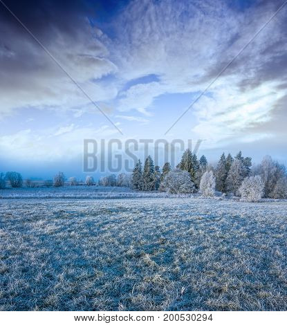 a beautiful frozen winter landscape - winter morning