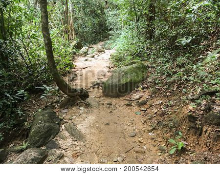 nature walkway in Khao Chamao , Rayong , Thailand