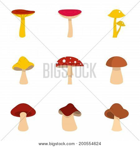 Autumn mushroom icon set. Flat set of 9 autumn mushroom vector icons for web isolated on white background