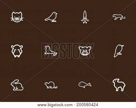 Set Of 12 Editable Animal Outline Icons. Includes Symbols Such As Piggy, Philomel, Kitty And More
