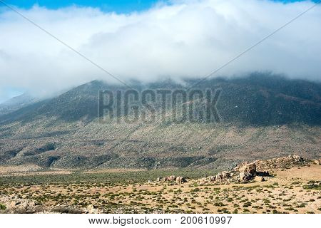 Chilean coast part of Atacama desert near Copiapo