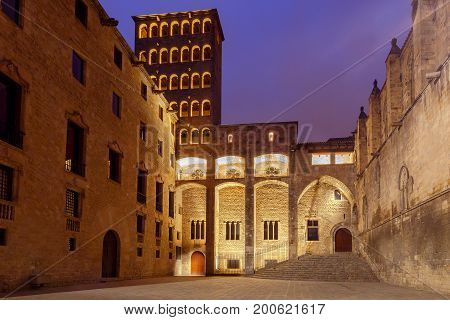 The Cathedral of the Holy Cross and St. Eulalia. Barcelona. Spain.