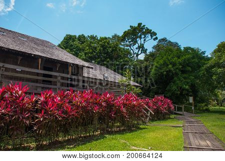 Traditional Wooden Houses And Bushes Of Red Color. Iban Longhouse Kuching To Sarawak Culture Village