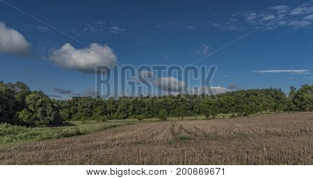 Pond in Lukov village in summer sunny color nice morning