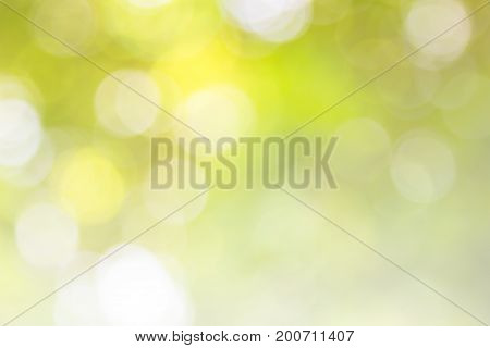 Blurred nature background.Backdrop with color and bright sun light. Summer holidays concept.bokeh background or Christmas background.Green Energy.