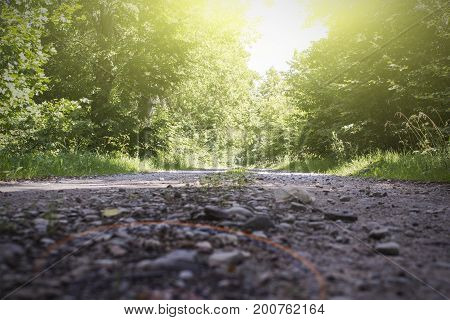 The sun's rays of light in forest road and trees with colorful leaves.