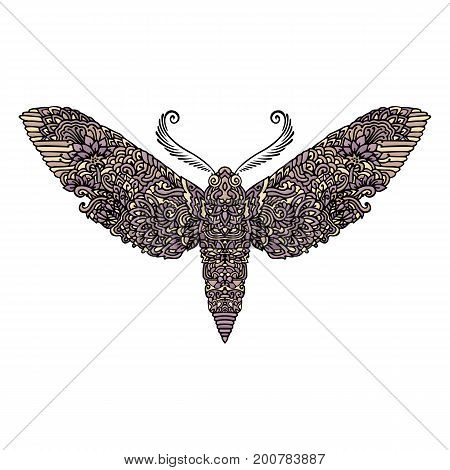 Night butterfly. Vector illustration. Anti-stress coloring. Zentangle style. Vector illustration