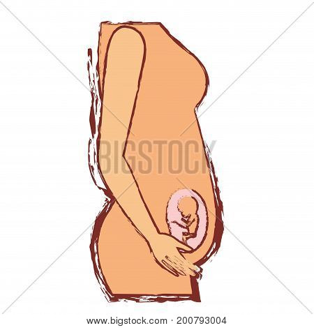 color silhouette with blurred contour of side view pregnancy process in female body fetus human growth trimestrer vector illustration