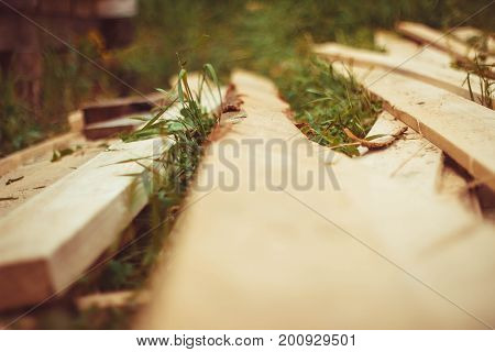 Wooden board. He lies on a stump. In grass.