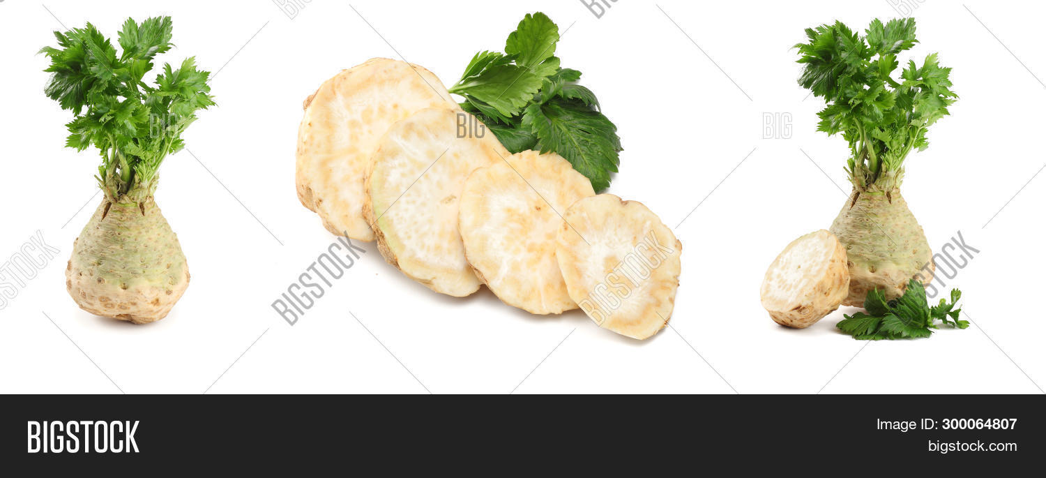 Celery Root Leaf Image & Photo (Free Trial) Bigstock