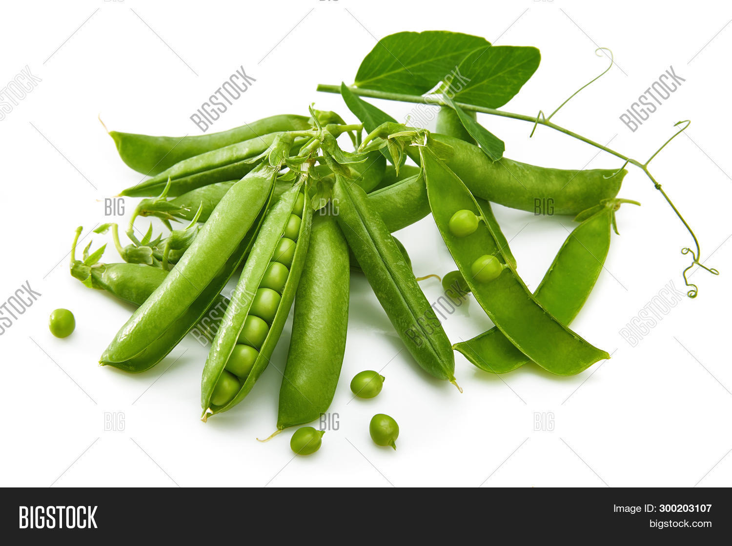 Green Peas Twig Leaf Image & Photo (Free Trial) Bigstock