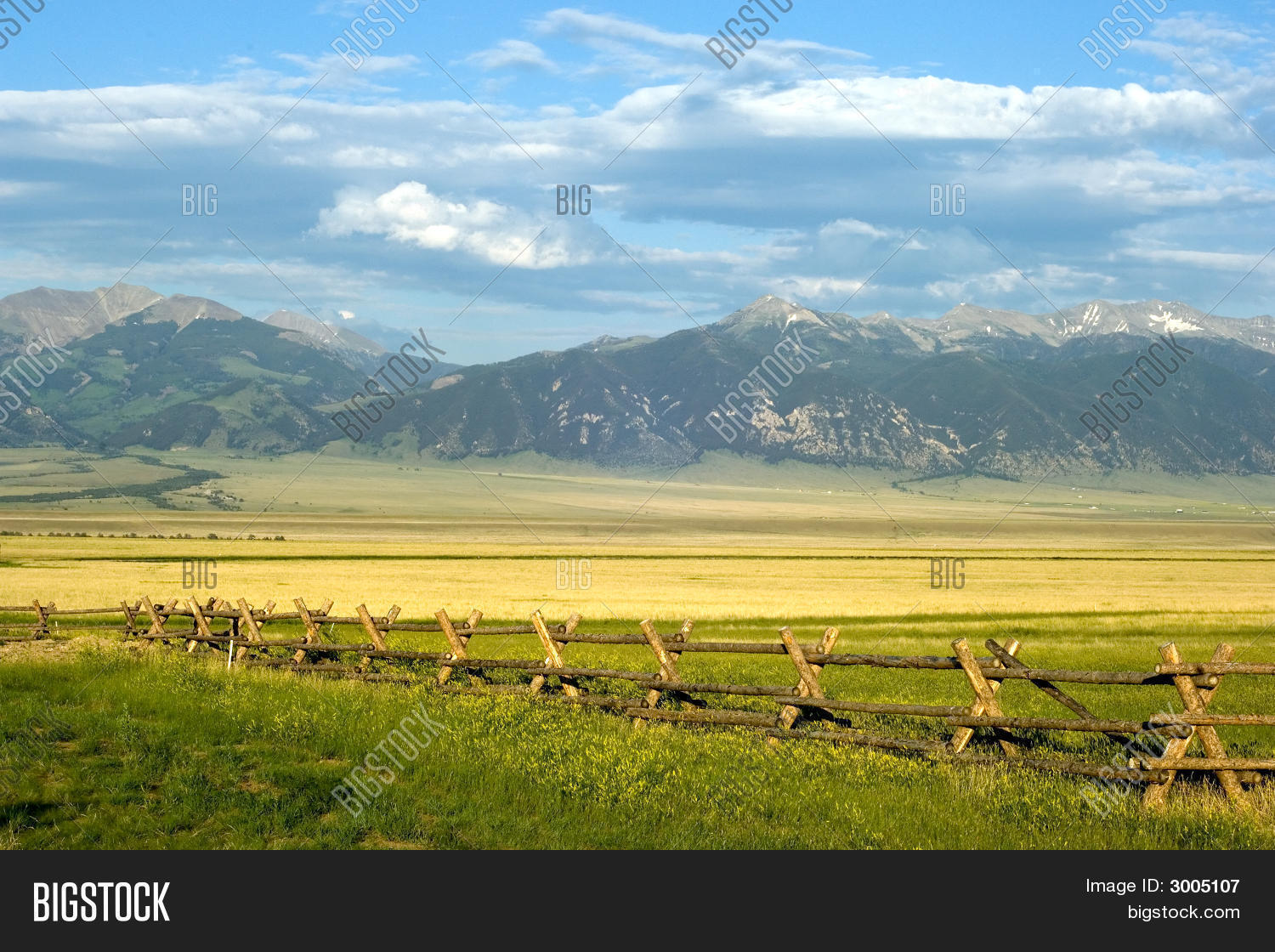 Image Preview
