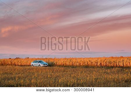 Gomel, Belarus - September 14, 2016: Volkswagen Polo Vento Car Sedan Parking Near Country Road In Au