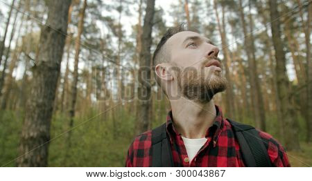 Young Bearded Man In Red Checked Shirt Breathing Fresh In The Pine Forest