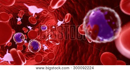 3d rendered medically accurate illustration of the human blood cells and lymphocytes