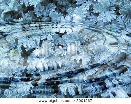 Feuille