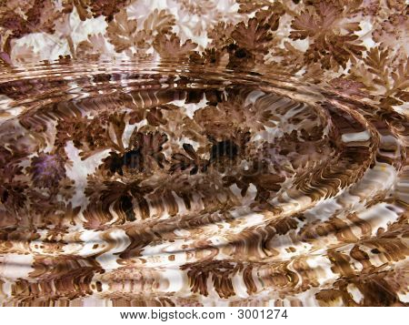 Feuille