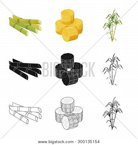 Vector Illustration Of Farm And Agriculture  Sign. Collection Of Farm And Technology Stock Vector Il