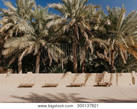 View Of The Unesco Enlisted Oasis In Al Ain, Uae - Image