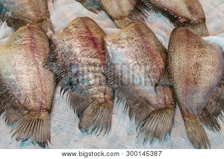 Sun-dried Salty Raw Snakeskin Gourami Fishes For Sale In The Local Fresh Market In Thailand. Bang Ka