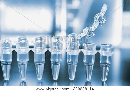 Tubes For Dna Amplification By Pcr For Subsequent Genetic Analysis