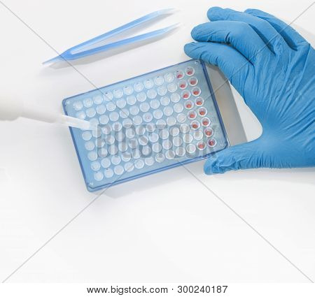 Hands In Gloves Assemble Pcr Reaction For Dna Analysis