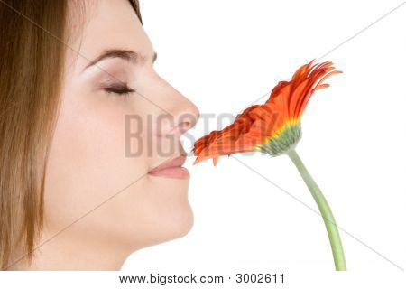 Flor de cheiro de mulher