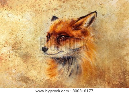 Painting Of Wild Fox On Paper. Aquarelle Background.