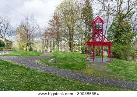 Trre Burst Into Flowers In Spring. Photo Taken In Seatac, Washington.