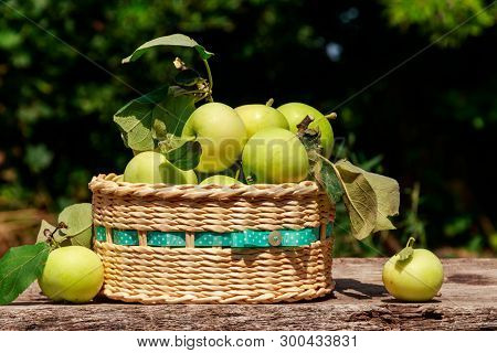 Fresh Ripe Apples In Basket On The Rustic Wooden Table Outdoor