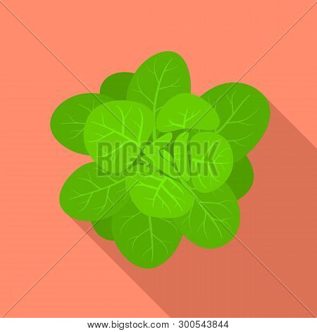 Green Spinach Icon. Flat Illustration Of Green Spinach Icon For Web Design