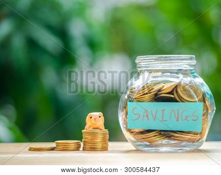 Coins In Bottle With Pig On Coin Stack For Savings In The Future. Concept For Loan, Property Ladder,