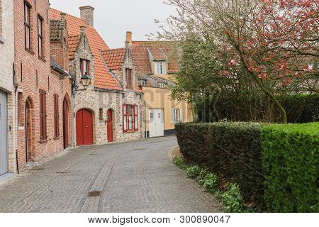 Spring View Of The Nature Of The City Of Damme In Belgium