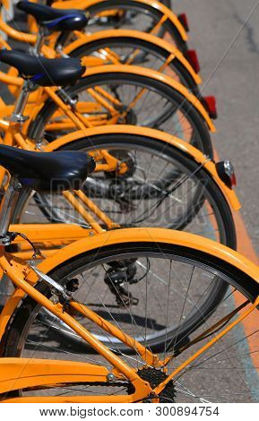 F Bicycles In The Bicycle Rack Of The Urban Bike-sharing System