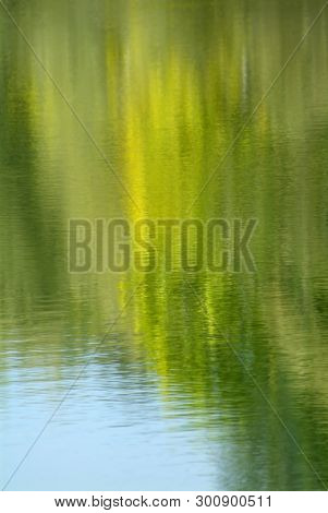 Po River Water With Slime And Plants.